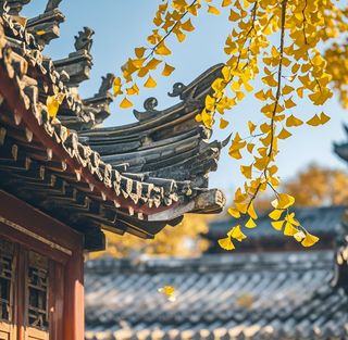 大连旅游攻略三日游怎么安排庙，素食首选樱桃饼