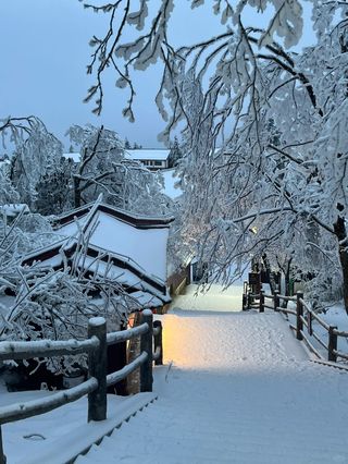 春节过年成都周边两天有什么好去处推荐