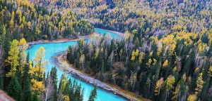 喀纳斯风景区游记图文-喀纳斯-白哈巴三日游