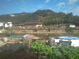 厦门 冬 2024年1月上旬 11 永定客家土楼一日游