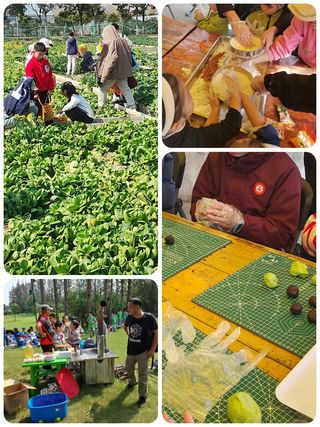 上海秋游研学·乐活营地专属方案