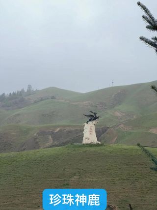 023-8青甘线10日游之第7天