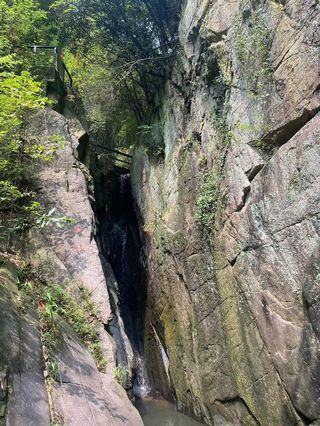 湖州莫干山亲子两日游全攻略！景点、交通、住宿、餐饮、伴手礼~