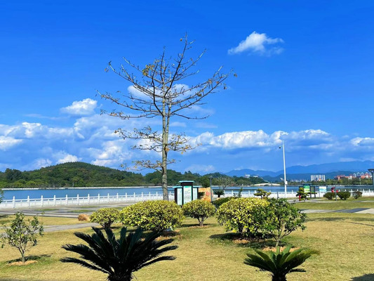 广州增城旅游打卡七大景点