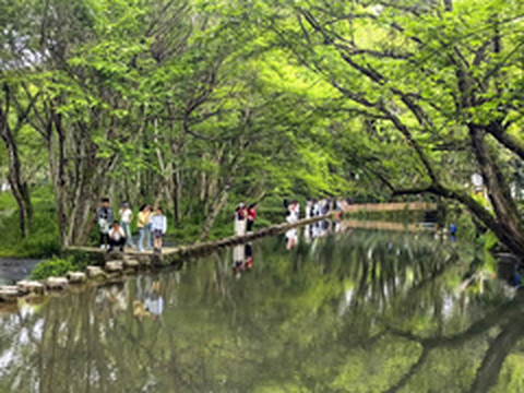 黄山北站/西溪南古村落游记图片] 云游四海（1765）苏皖自驾游之七——西溪南古村