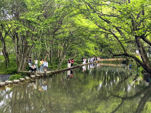 黄山北站/西溪南古村落游记图文-云游四海（1765）苏皖自驾游之七——西溪南古村