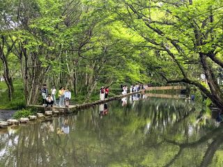 云游四海（1765）苏皖自驾游之七——西溪南古村