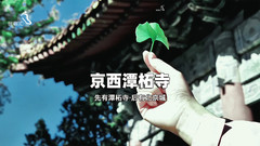 门头沟/潭柘寺/妙峰山风景区游记图片] 京郊游门头沟民宿潭柘寺攻略农家院鹏辉客栈踏实的落脚点-民宿汇