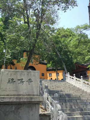 旺季南京的另辟蹊径,古庙焚香(鸡鸣寺、清凉寺、毗卢寺)