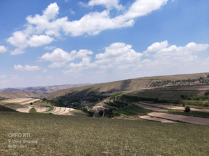 环县游记图文-行走在杨胡套子草原