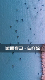 白洋淀风景区游记图片] 河北保定白洋淀望月岛10号院民宿,春游华北明珠住宿优选-民宿汇