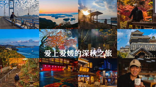 松山游记图文-爱上爱媛的深秋之旅