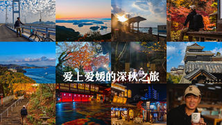 爱上爱媛的深秋之旅