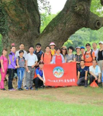 泰和游记图文-禅意泰和行：一花一叶一千年 一桥一塔一世界