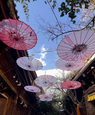 带着孩子去丽江玩玩（美不胜收）
