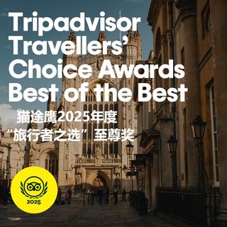 喜讯！罗马浴场博物馆强势登榜猫途鹰2025年度“旅行者之选”至尊奖！