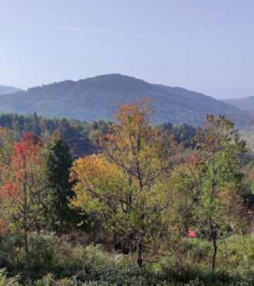 西递景区游记图文-皖南赏秋休闲行