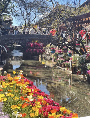 春节:我在丽江旅了一个游