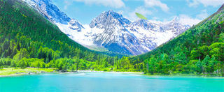 这个八月,被毕棚沟满屏绿狠狠 “拿捏”!