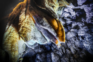 国家AAA级旅游区颛顼龙洞