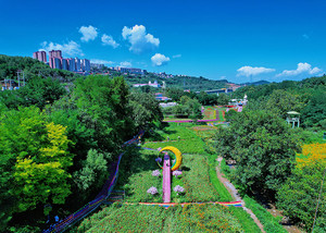 宜君游记图文-陕西旅游必去！指纹梯田、梦幻花海等景美人少，这里很宜君