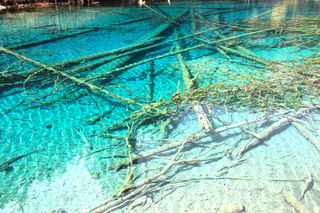 超长假期五：珊珊来迟，梦想的起点 2023年4月11日 九寨沟&成都7日游