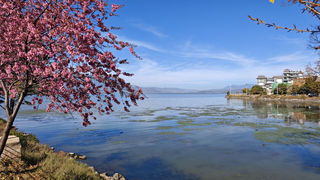洱海煮酒，苍山论剑，环游洱海的慵懒时光