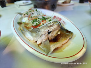 武汉行| 当今荊楚殊：才饮莲藕汤  又食武昌鱼