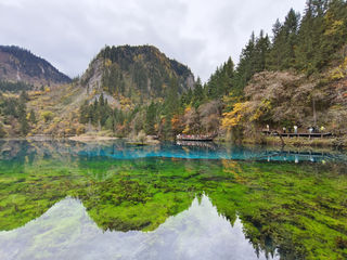 假如只有一次机会,还到九寨沟!四次光顾,一次比一次更爱这里