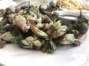 外伶仃岛游记图文-关于外伶仃岛你必须知道的七件事