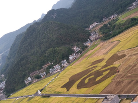平塘游记图文-多彩贵州之二~非著名景点篇