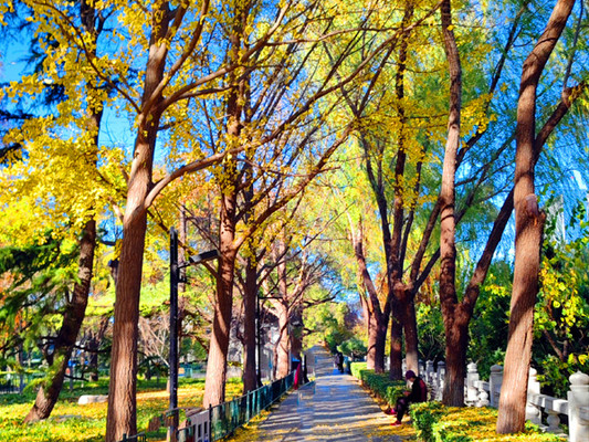 北京旅游:走进神秘的历代帝王庙(图)