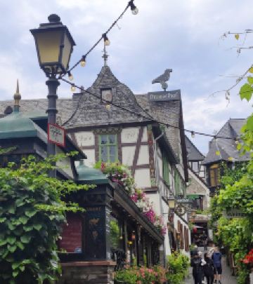 达姆施塔特游记图文-欧洲三个月环游十五《终章：环行的句点—重返法兰克福与莱茵河畔的告别》