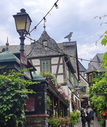 达姆施塔特游记图片] 欧洲三个月环游十五《终章：环行的句点—重返法兰克福与莱茵河畔的告别》