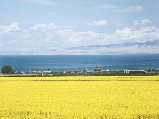 带着爸妈去旅行：青甘环线定制版之青海篇 2024年7月14-27日