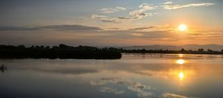 相距万里茶道,共赴三湖之约