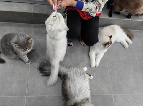 长白游记图文-湘西出发带娃去哈尔滨、长白山、延吉、长春、向海过20度的夏天