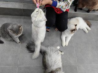 湘西出发带娃去哈尔滨、长白山、延吉、长春、向海过20度的夏天