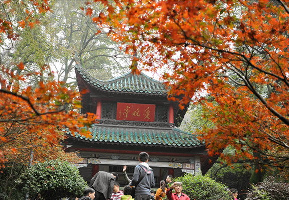 🌟 长沙温馨之旅：老年人专属路线 🚶‍♀️