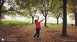 再下江南——2019春游记