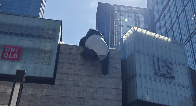 成都印象
