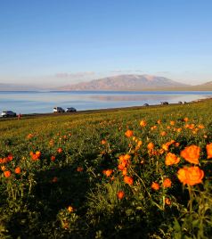 鄯善游记图文-在最美的季节，自驾环游新疆最美的景色