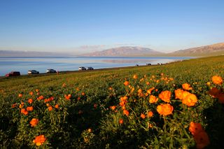 在最美的季节，自驾环游新疆最美的景色