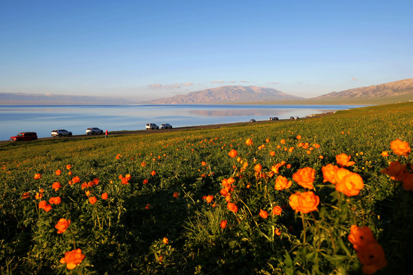 在最美的季节，自驾环游新疆最美的景色