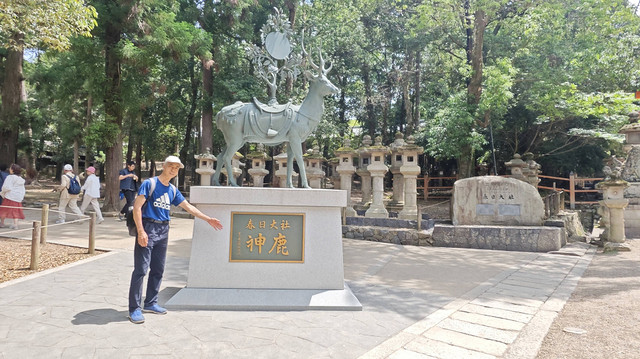 #湖西的天空#：关西14天自由行之旅 —— D11：奈良一日游--奈良公园、东大