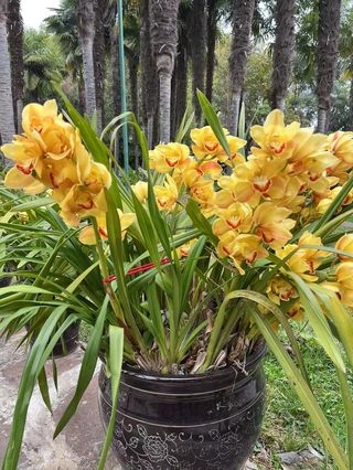 丽江-大理双廊-昆明漫游一周~