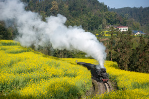犍为游记图文-开往春天的小火车，教你如何玩转乐山犍为