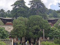 山西游记图片] 山西自由行（10）