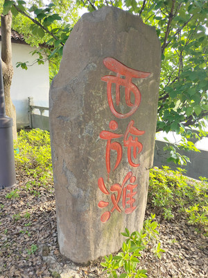 西施滩，两江交汇处的湿地公园——诸暨3日（5）