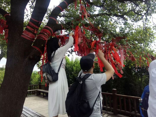 乐活户外大本营:七夕浪漫团建之旅,共度星光下的甜蜜时光